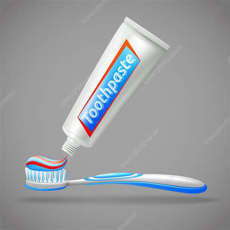 Toothbrush And Toothpaste Illustration Stock Image F0200438 Science Photo Library