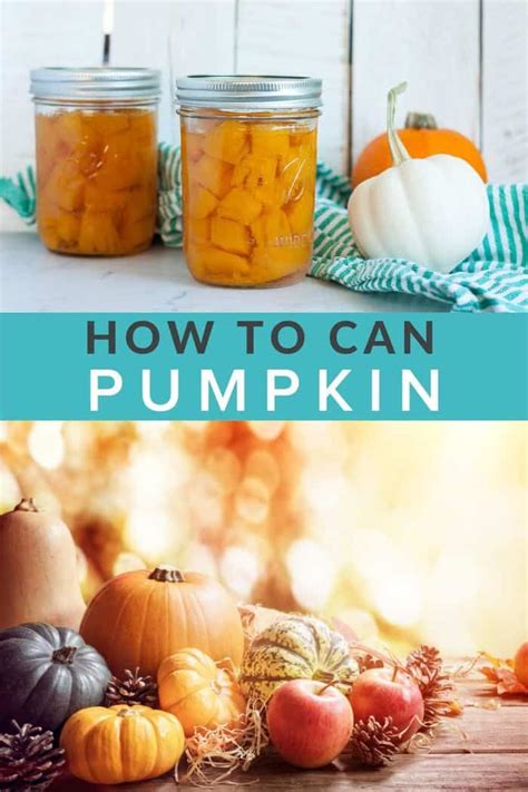 This Step By Step Tutorial Will Teach You About Canning Pumpkin Safely