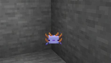 How To Get A Blue Axolotl In Minecraft In 4 Easy Ways Softonic