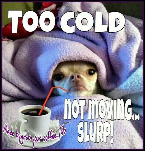 Pin By Sarah On Coffee Morning Quotes Funny Cold Weather Funny Winter Jokes