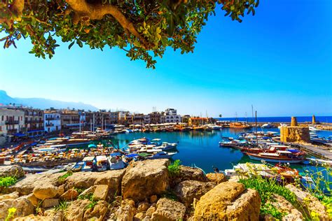 The Locals Guide To Authentic Cyprus Olivers Travels