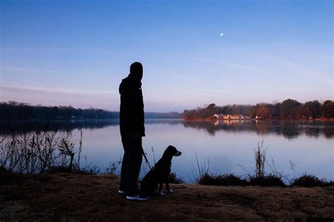 The 9 Best Products For Walking Your Dog At Night Pawleaks