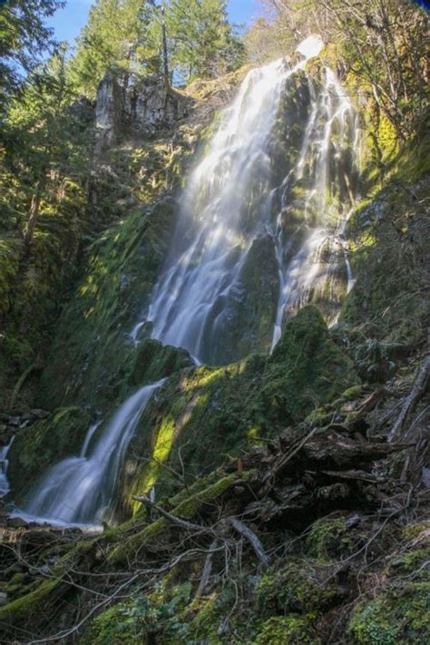 Moon Falls Hike Hiking In Portland Oregon And Washington