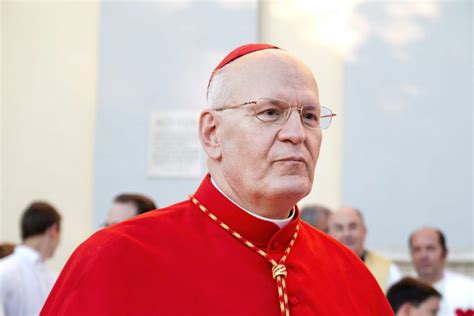 Péter erdő is a hungarian cardinal of the latin rite of the catholic church. Erdő Péter: Felelősek vagyunk a szavainkért - Makóhíradó.hu
