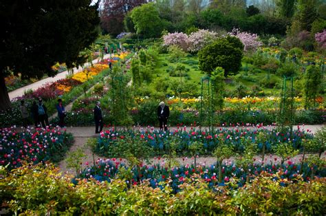At artranked.com find thousands of paintings categorized into thousands of categories. Pin by Kristine on gardens - claude monet's giverny ...
