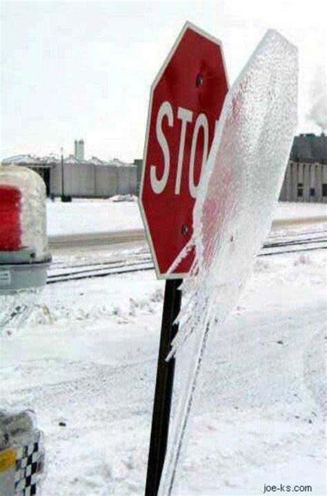 41 reliable signs it s too cold outside 41 photos klyker