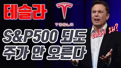 테슬라는 미국 회사이며 미국 주식과 관련된 정보이기 때문에 국내에서는 살펴보기가 쉽지만은 않은데 이런 경우 인베스팅닷컴 홈페이지를 이용하면 손쉽게 테슬라 주가조회 및 관련 정보들을 살펴보실 수 있습니다. 테슬라, S&P500 편입으로 주가 더 오를까? | 미국 주식 | 주린이 ...