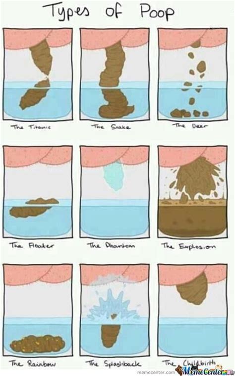 Types Of Poop By Snkieche Meme Center