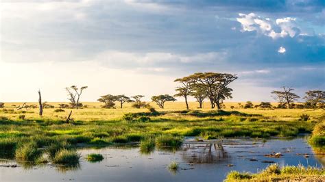 Historical Sites in Africa: Preserving the Past and Uncovering