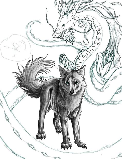 Dragon And Wolf Dragon Wolf Canine Art Wolf Drawing