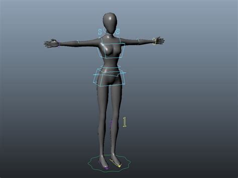 Female Body Rig 3d Model Maya Files Free Download Cadnav