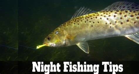 Speckled Trout Fishing At Night Do Speckled Trout Bite At Night