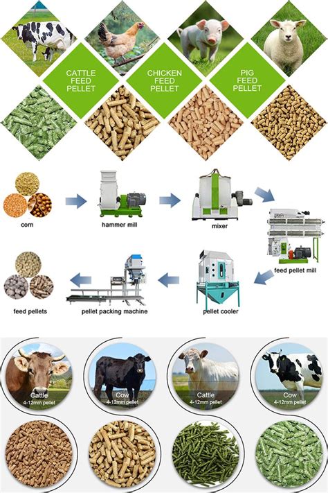 How To Make Livestock Feed With A Pellet Mill Livestock Feed Cattle