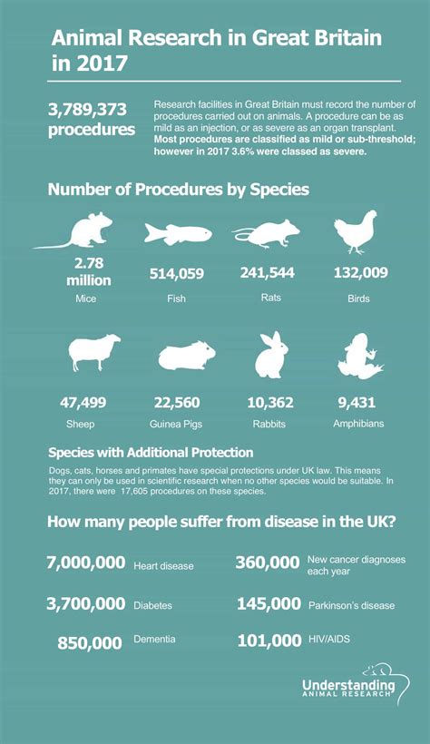Animal Research Numbers In 2017 Understanding Animal