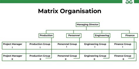 6 Types Of Organisation Structure Geeksforgeeks