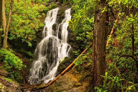 5 Hidden Gems To Uncover In The Smoky Mountain National Park Smoky