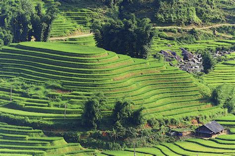 The Rice Terraces Of The Philippines Oro Gold Stores