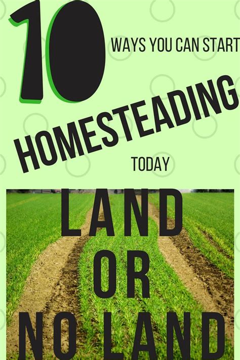 10 Ways You Can Start Homesteading Today Land Or No Land Farm Facts