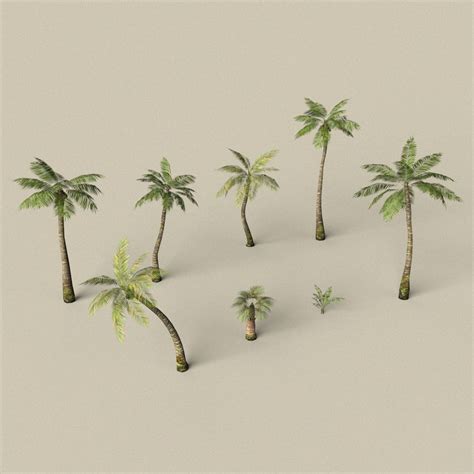 Game Ready Palm Tree Pack 3d Asset Cgtrader