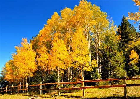 Here Are 14 Photos Of Fall In New Mexico That Will Take Your Breath Away
