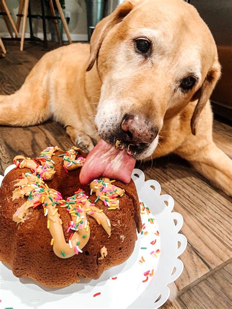 My Peanut Butter Dog Birthday Cake Recipe Treat Dreamsare Made Of This