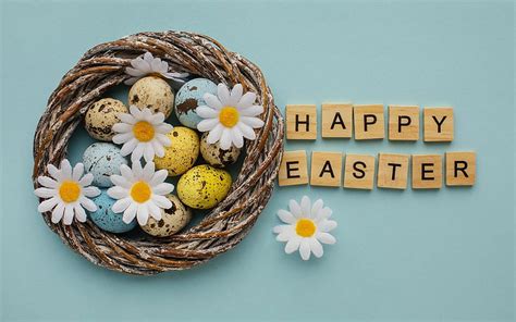 Happy Easter Daisies Eggs Easter Nest Hd Wallpaper Peakpx