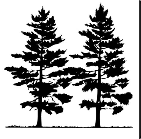 2511x2960 tree png images quality transparent pictures png only. Free Pine Tree Clip Art Pictures - Clipartix