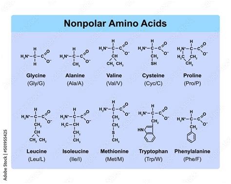 Amino Acids Types Table Showing The Chemical Structure Of Nonpolar Free Download Nude Photo