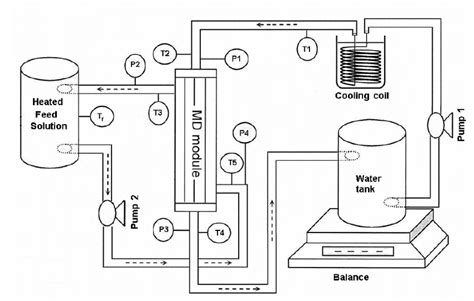 Schematic Sketch Of The Experimental Set Up Download Scientific Diagram