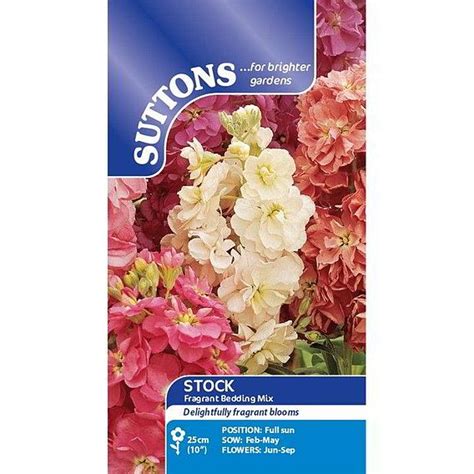 Stock Seeds Fragrant Bedding Mix Suttons