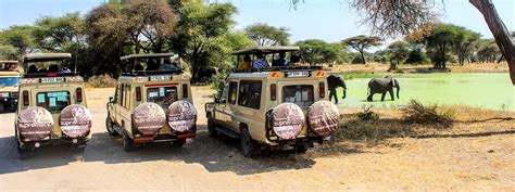 Tanzania Safari Supremacy African Safari Tours