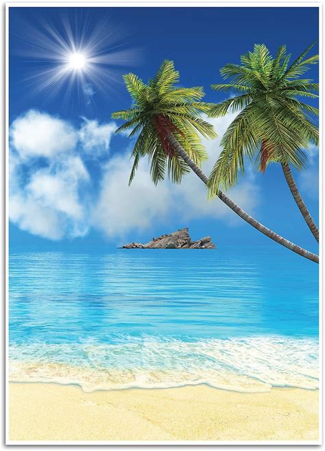 Tropical Beach Background Photography Backdrop Great For Studio