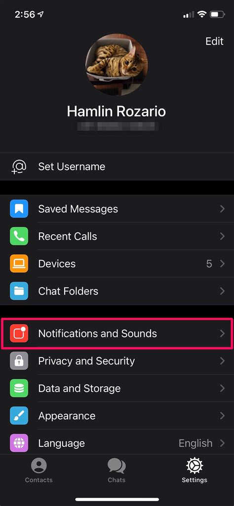 Stop Telegram from Showing Message Previews on iPhone