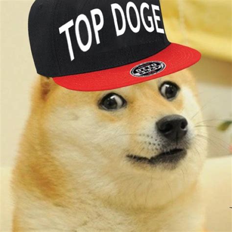 Doge Dogetop Twitter