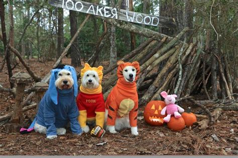 Winnie The Pooh Halloween Dog Costumes Dog Halloween Costumes Dog