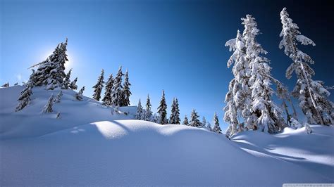 Beautiful Winter Scenery Wallpapers Top Free Beautiful Winter Scenery