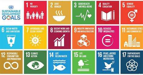 The ultimate goal of sustainable development is sustainability, in its broadest sense. Sustainable Development Goals (SDG's) - MAEX