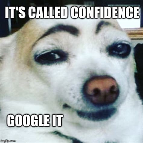Dog Makeup Meme
