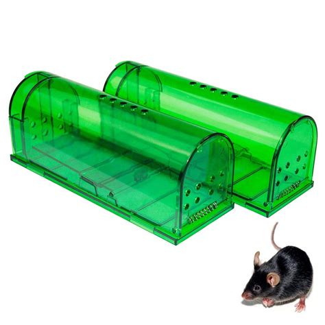 Best Humane Mouse Trap Top 5 Picks For Catching Mice Without Harming Them