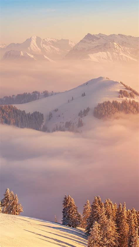 Обои Альпы 5k 4k Швейцария горы облака сосны Alps