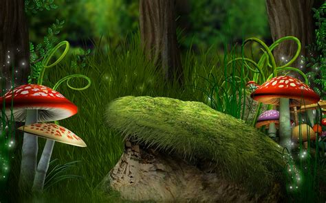 Mushrooms In Fantasy Forest Full Hd Wallpaper And Background Image 1920x1200 Id681060