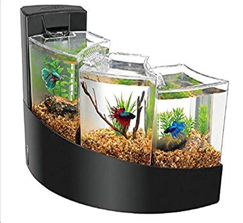 Betta Fish Hospital Tank Poeyfz Z