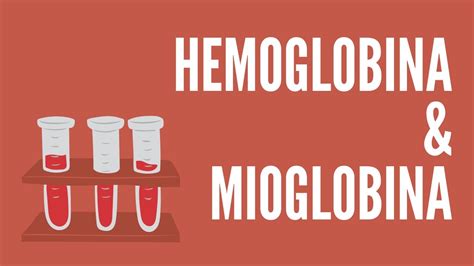 Hemoglobina E Mioglobina YouTube