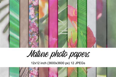 Nature Photo Papers By Deas Designs Thehungryjpeg