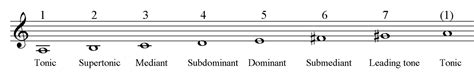 You should listen to this example carefully, noting the. Music Scale Degree Names