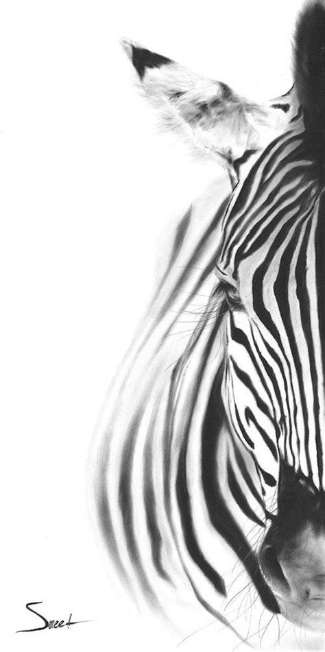 Zebra Oil Painting In Black And White Art Print By Eric Sweet Etsy