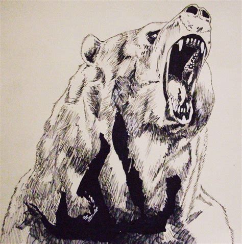 Roaring Bear Drawing At Getdrawings Free Download