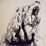 Roaring Bear Drawing At GetDrawings  Free Download