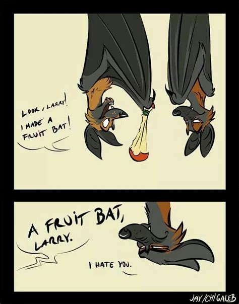Bat Humour Funny Pictures Funny Comics Funny Memes