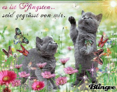 Pfingsten ist ein christliches fest, zu dem man liebe grüße verschicken kann. pfingsten bilder kostenlos #Pfingsten # ...